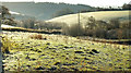 Frosty fields west of Skilgate