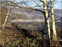 SJ6403 : Site of the former Ironbridge Power Station by Philip Halling