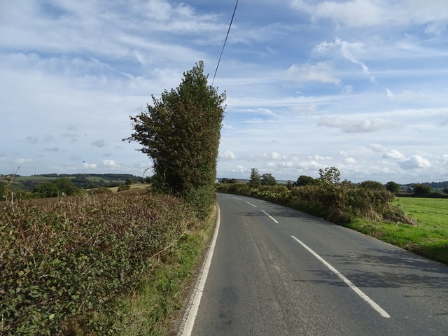 Ash Lane