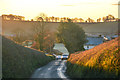 Halberton : Country Road