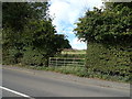 Field entrance off Chapel Lane, Emley