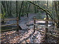 Footbridge in Boddenham