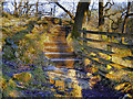 SD7074 : Steps on the Ingleton Waterfalls Trail at Baxenghyll Gorge by David Dixon