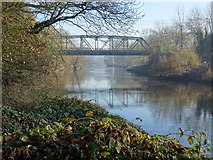 SJ6504 : Bridge over the River Severn by Philip Halling