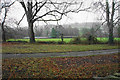 Green space in Holymoorside