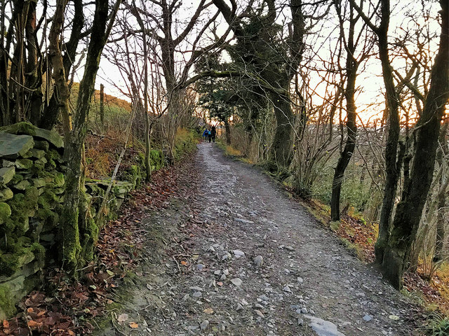 Path in Quarry Wood