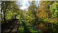 Fairbottom Branch Canal W of A627 at Bardsley, Oldham