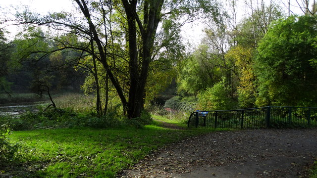 Pond & path jct Clayton Vale, Clayton, Manchester