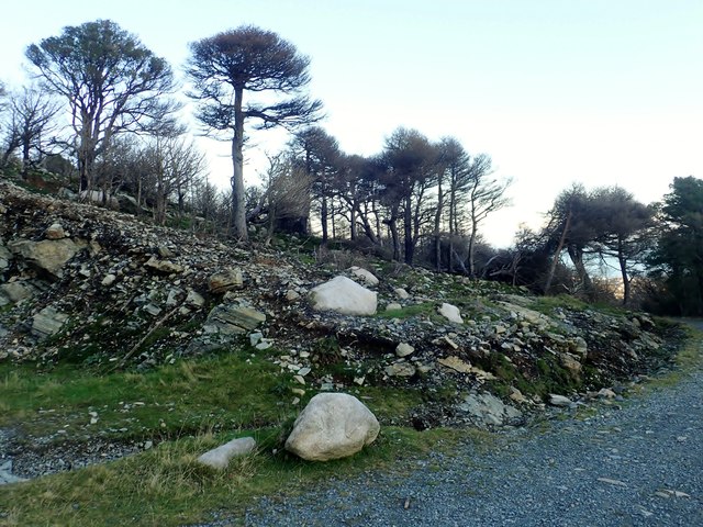 Exposed block field on the burnt slopes of Curraghard