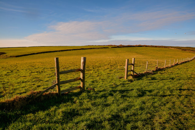 Gwinear-Gwithian : Grassy Field © Lewis Clarke cc-by-sa/2.0 :: Geograph ...