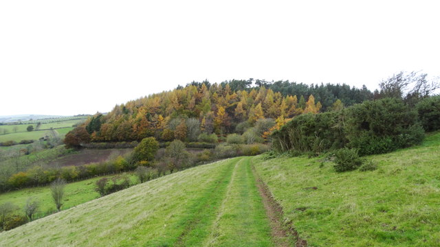 Path leading north towards Wart Hill from Hopesay Common