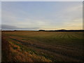 Stubble field below Stanker Hill Farm