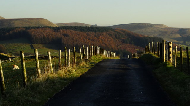 Lane running southeast from Forest Chapel