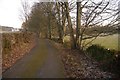 Road from Laggan