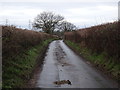 SO8695 : Blackpit Lane  Bend by Gordon Griffiths