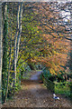 East Budleigh : Footpath