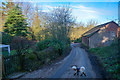 East Budleigh : Sawmill Lane