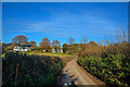 East Budleigh : Sawmill Lane