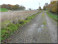 Former track to Bilham Farm