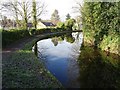 Staffordshire and Worcestershire Canal