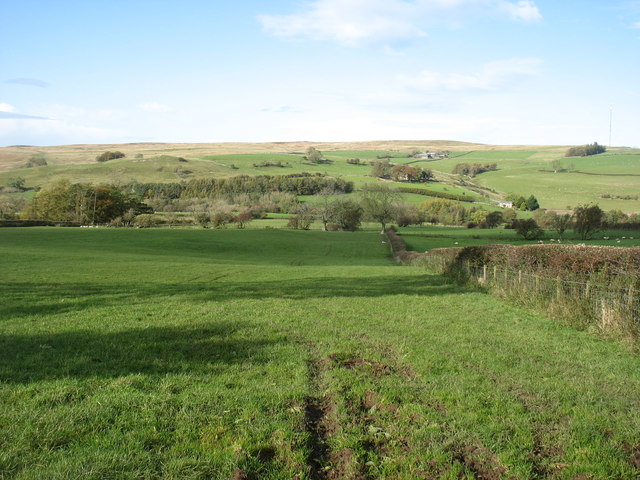 Fields west of Caldbeck