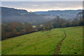 Newton St Cyres : Grassy Field