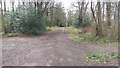 SU8867 : Path heading to Forest Park by Shaun Ferguson