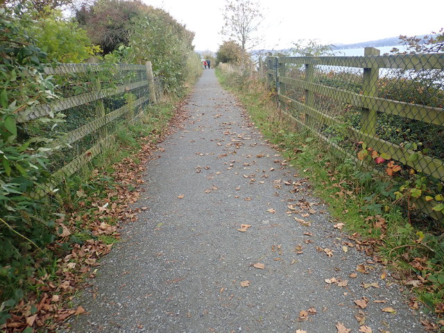 View NW along the middle section of the Carlingford Greenway