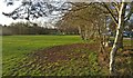 Recreation ground in Thurnby Lodge, Leicester