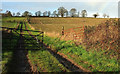 Track and farmland by Withyditch Lane