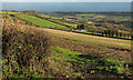 Slopes of Cam Brook valley