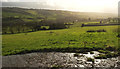 Towards the Cam Brook valley