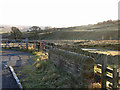 The Rookhope valley at Lintzgarth (2)