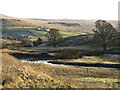 Rookhope Burn at Lintzgarth