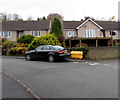 Yellow box on the north side of Sunnybank, Brecon