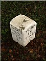 Bench mark on milestone near Monk Fryston