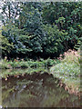 Caldon Canal east of Northwood in Stoke-on-Trent