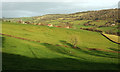 Pasture near Woolley