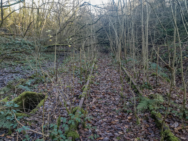 Disused Railway Lines between Silverdale Tunnel and Keele Station
