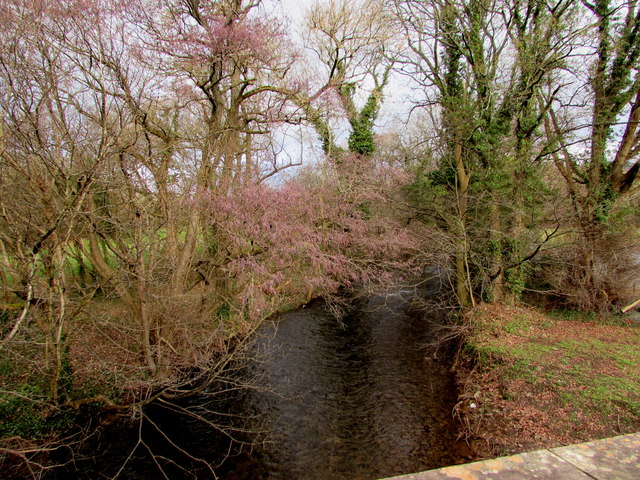 Upstream along the river Grwyne Fawr, Glangrwyney, Powys