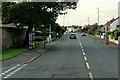 Bus Stops on Eglinton Road