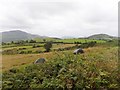 Parts of the Northern and Western Quadrants of the Ring of Gullion