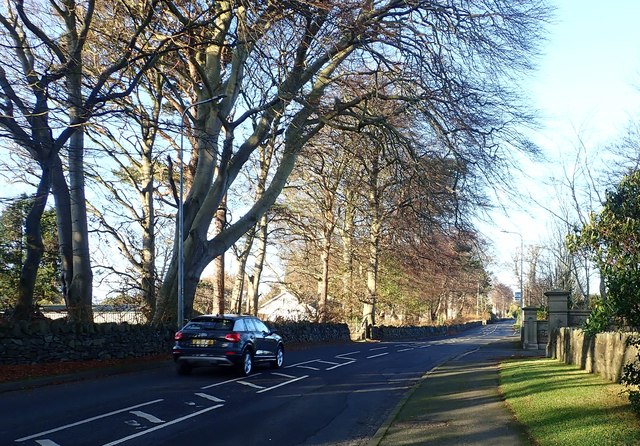 The Bryansford Road approaching the Enniskeen Country House