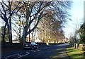 The Bryansford Road approaching the Enniskeen Country House