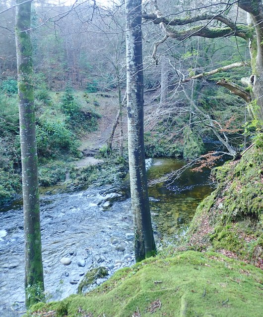 Approach path to the Shimna just below... © Eric Jones :: Geograph Ireland