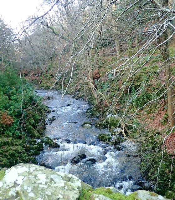 The Shimna above Foley's Bridge © Eric Jones :: Geograph Ireland