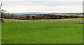 Grass field by Bath Road