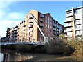 Hungate footbridge and Leetham House