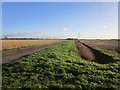 Old Black Drove, Anwick Fen