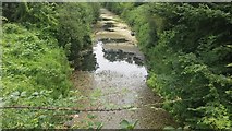 SU7151 : Basingstoke Canal by Shaun Ferguson